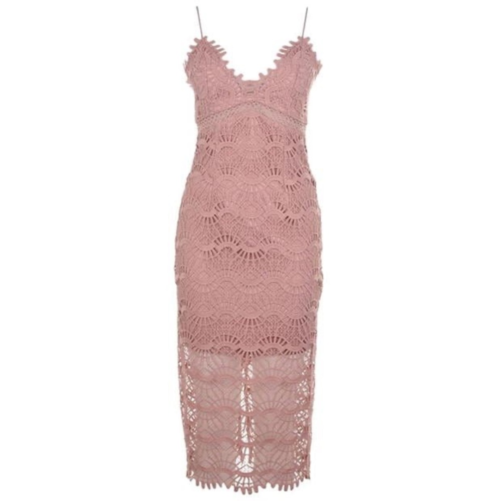 Bardot Lace Cocktail Dress In Dusty Pink NWT!